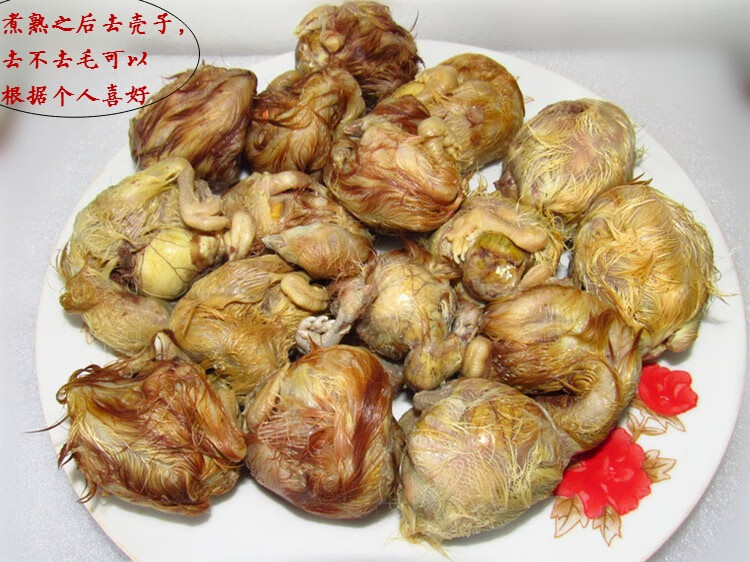 新鲜18天毛蛋熟鸡胚蛋喜蛋毛鸡蛋半喜凤凰蛋熟40只非活珠子