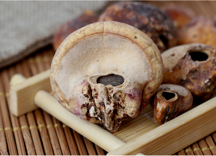 矷山耶香豆买21白茬耶香豆野生耶香根豆椰香豆耶香豆50g枸杞