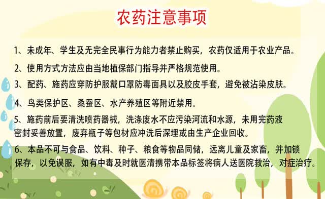 皇竹草甜象草黑麦草高丹草巨菌草墨西哥玉米草牧草田地专用除草剂农药