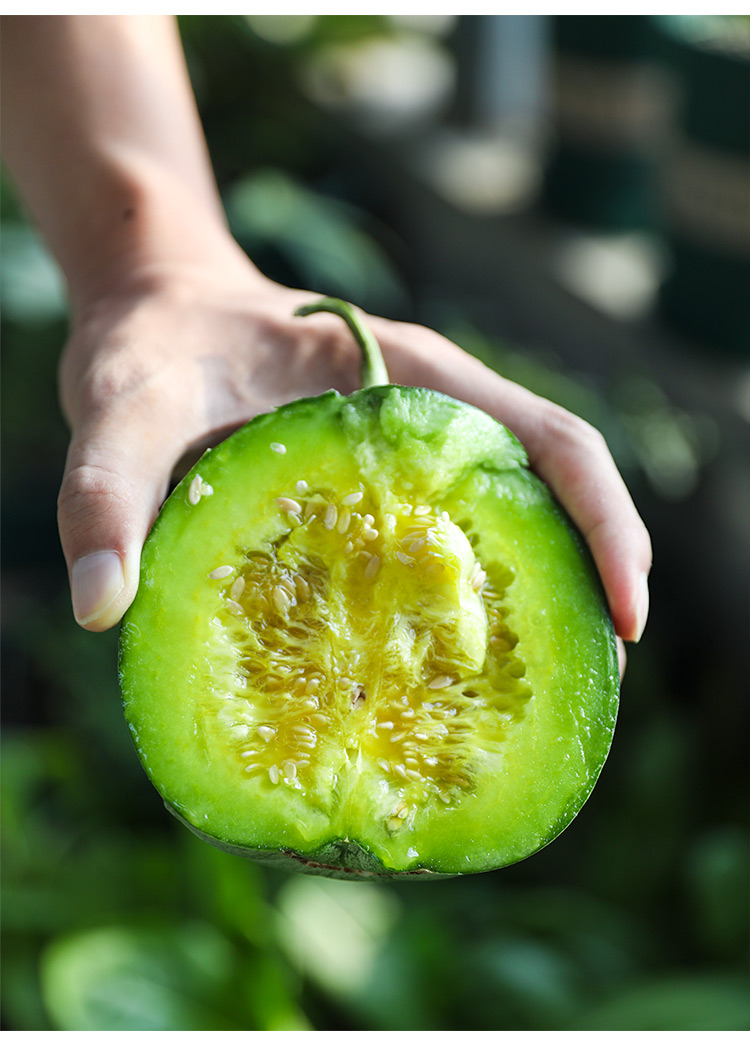 绿宝石甜瓜种子种籽苗秧孑日本绿宝老品种大全香瓜甜宝