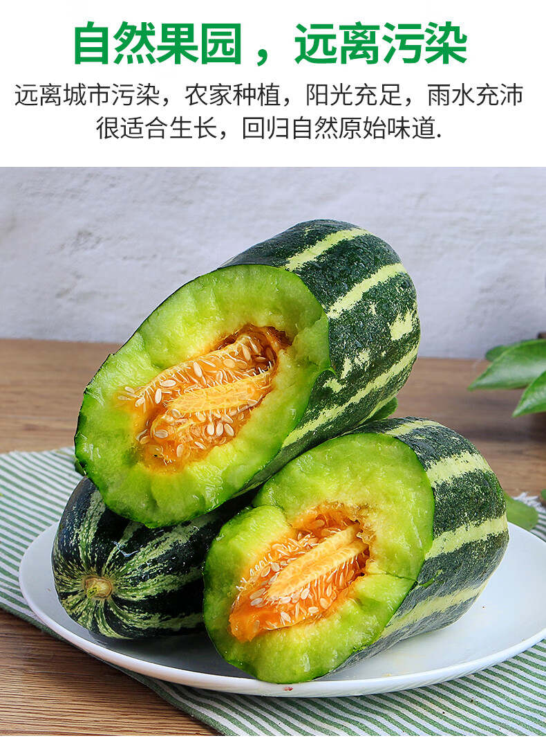 山东网红头茬博洋9号甜瓜 新鲜大果香瓜羊角蜜当季水果绿宝小蜜瓜 8斤