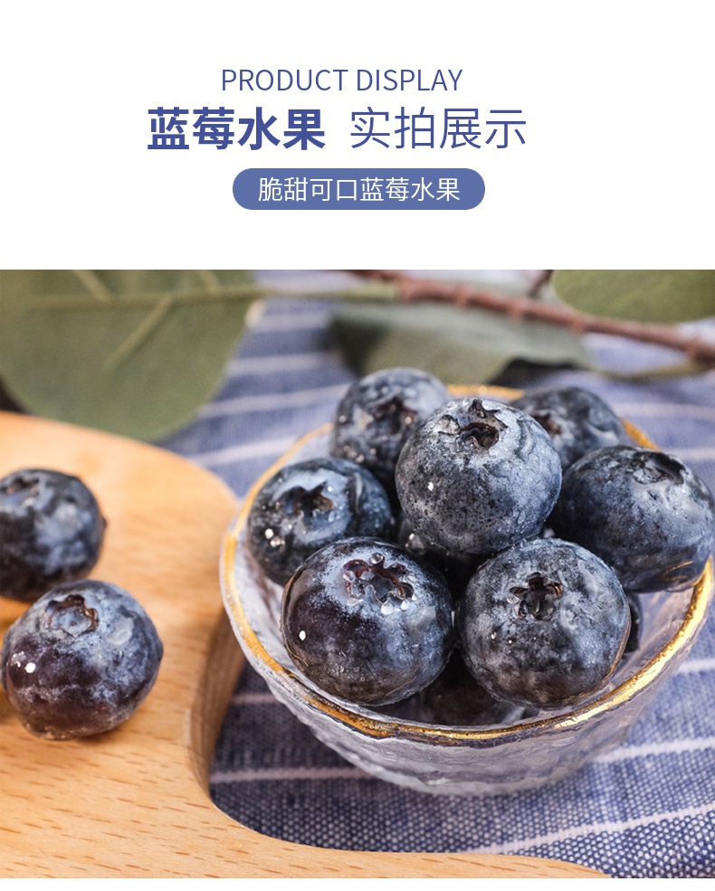 王蓝莓照片图片