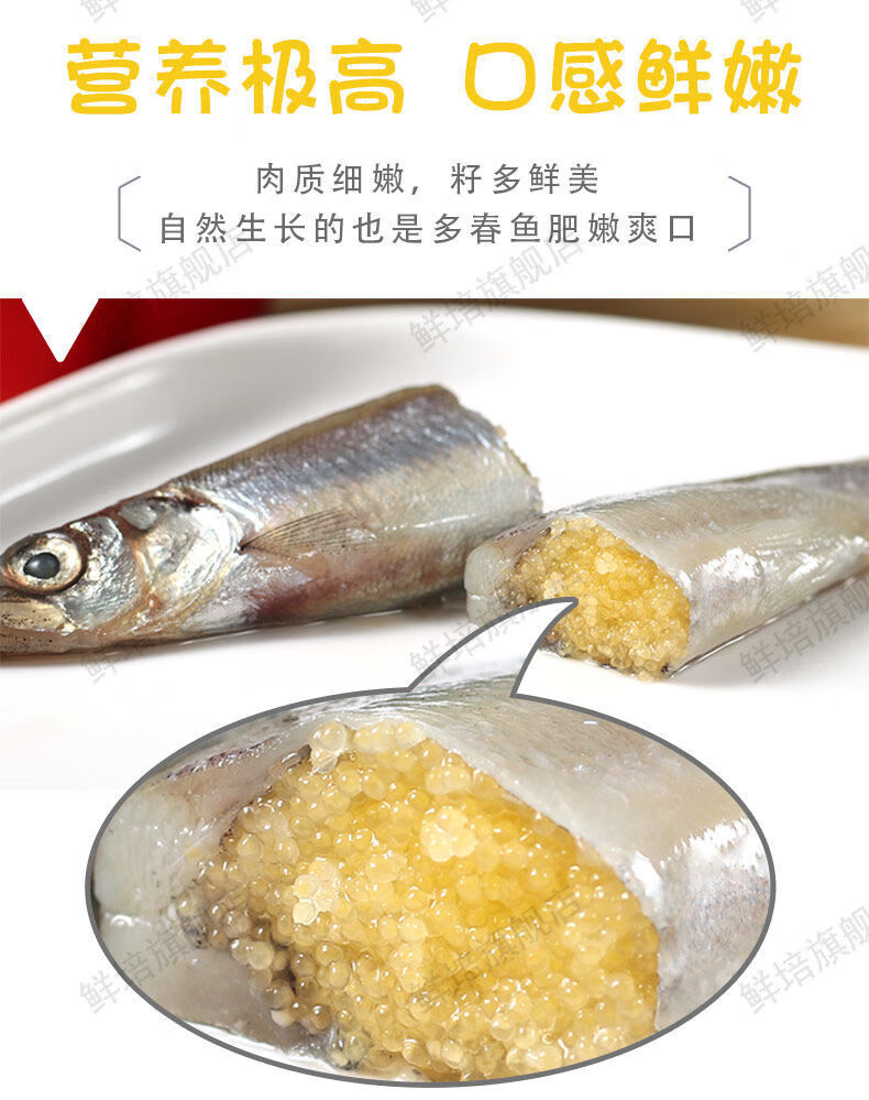 满籽多春鱼新鲜多籽鱼冷冻烧烤商用冰鲜特大带籽即食海鲜水产鱼籽五斤