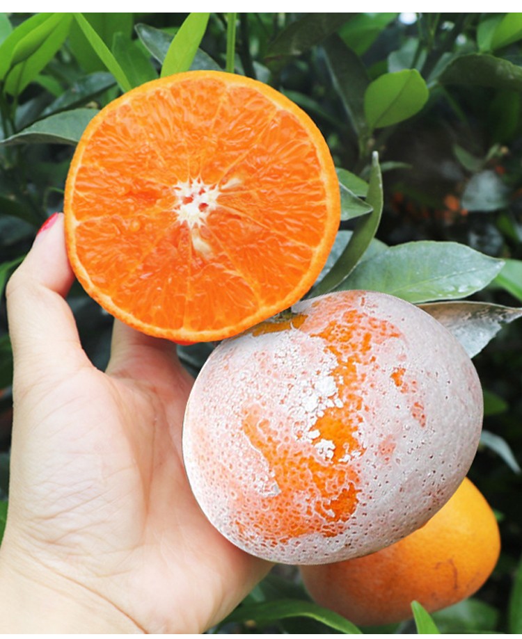 广西武鸣特茂谷柑一级大果新鲜水果脏脏柑橘橙石灰柑皮薄沃3斤精选装