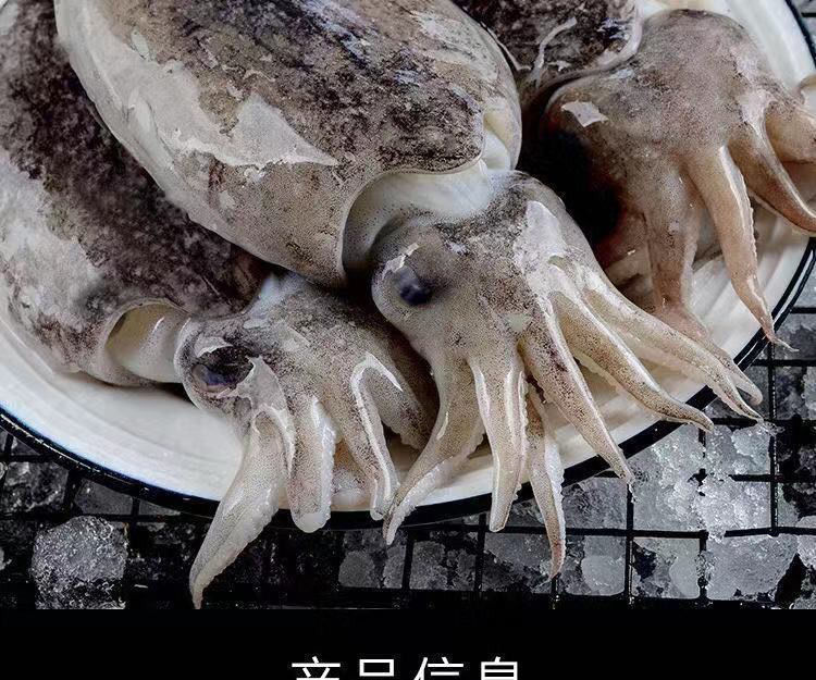 大墨鱼新鲜墨鱼墨斗鱼海捕墨鱼仔大号目鱼批发冷冻水产大乌贼6到8两3