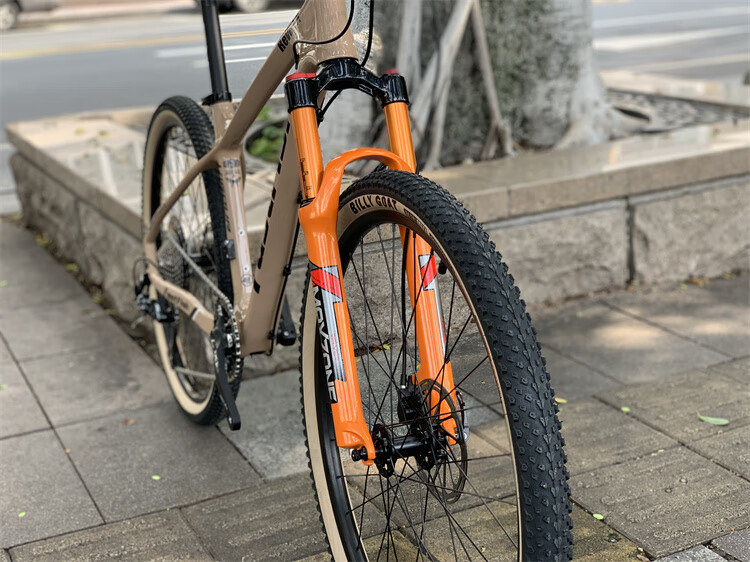 5寸fastfish碳纤维12速爬坡版山地车气叉油刹轻量自行车 禧玛诺12速