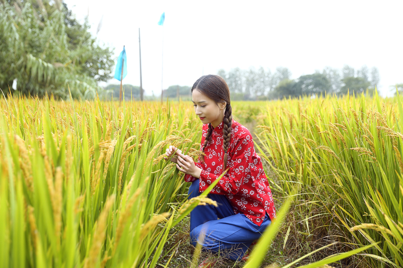 秧歌舞服装秧歌服装民族演出服阿庆嫂村姑服茶女表演服碎花乡村风舞