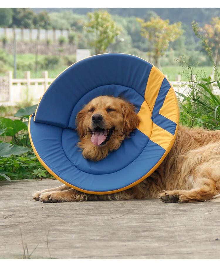 伊丽莎白圈加深软伊丽莎白圈狗加深大型犬防抓防舔脖圈狗头套金毛可