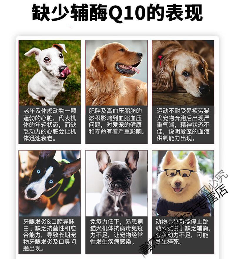 京选好物店铺澔斯医心宠物强心锭澔斯狗狗猫心脏肥大咳嗽气喘心脏40粒