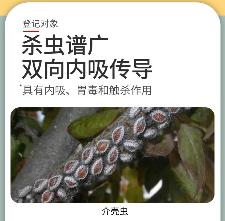 亩旺特等效螺虫乙酯脂介蚧壳虫红蜘蛛蚜虫果树花卉农药通用杀虫剂100g