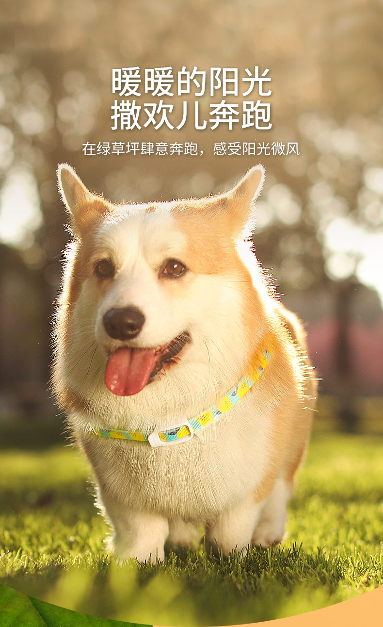 抖音同款京速达superdesign狗狗驱虫项圈猫咪驱蚊除蚤去防虱子螨虫
