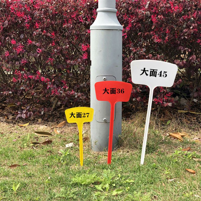 多颜色多规格塑料大号插地牌园艺标签园艺标识牌指示牌地插牌27cm蓝色