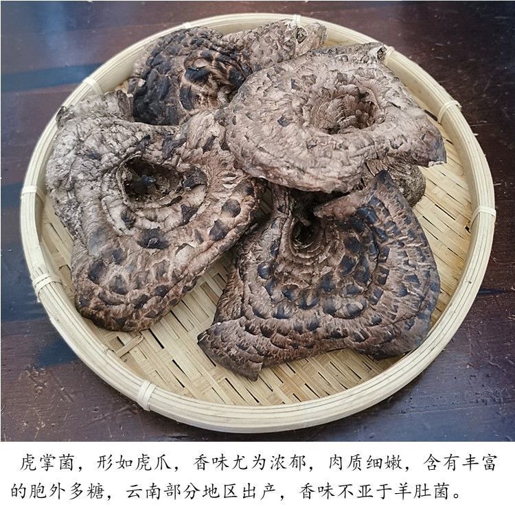 野生黑虎掌菌干货云南楚雄特产獐子菌食用蘑菇味道香50g250g新货 精选