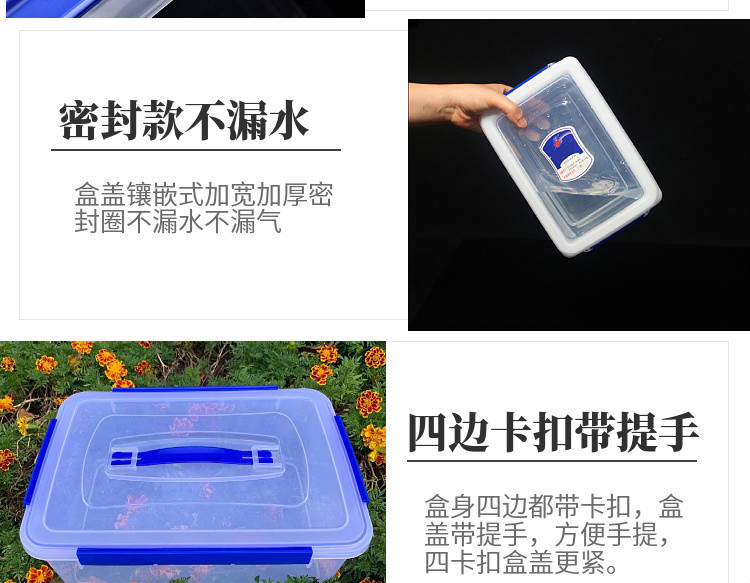 9a1856188d8ff4eb.jpg