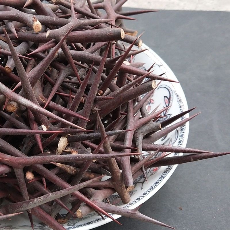 皂角 皂刺中药材野 生皂角刺 皂角刺中草药 天丁皂角刺批发100g 皂角