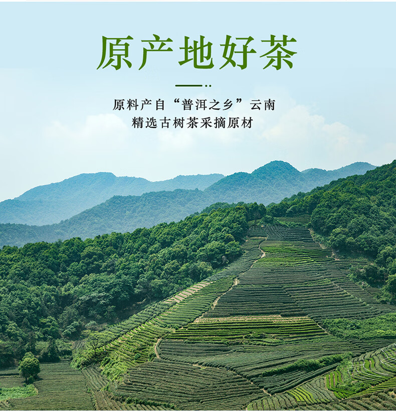 张一元茶叶浓香型普洱茶一级普洱黑茶熟茶尚品系列罐装150g