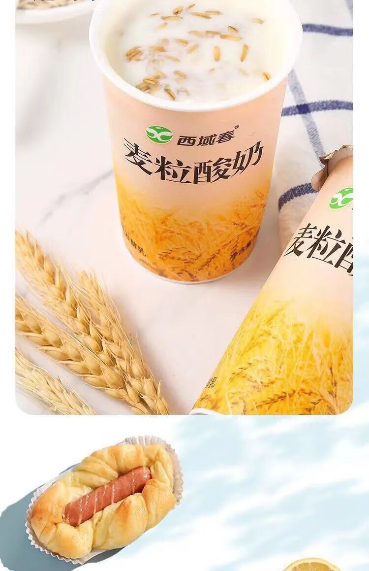 新品180gx12杯新疆西域春麦粒菠萝卡曼橘酸奶浓香燕麦仁酸奶西域春