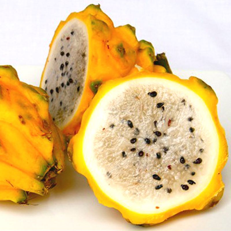 顺丰速运海南麒麟果燕窝果新鲜黄金火龙果香甜可口鲜嫩软糯精选高品质