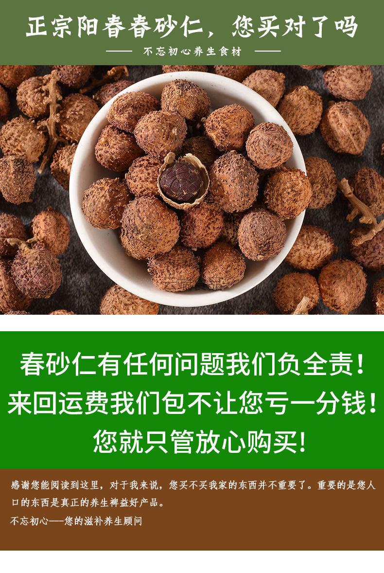 春砂仁阳春砂仁干果阳春特产春砂仁煲汤泡水入正宗春砂仁95的客户选择