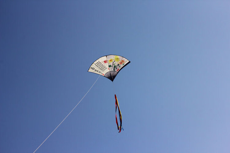 602019梅花扇子风筝儿童卡通中小型风筝线轮套餐520礼物29米格子布