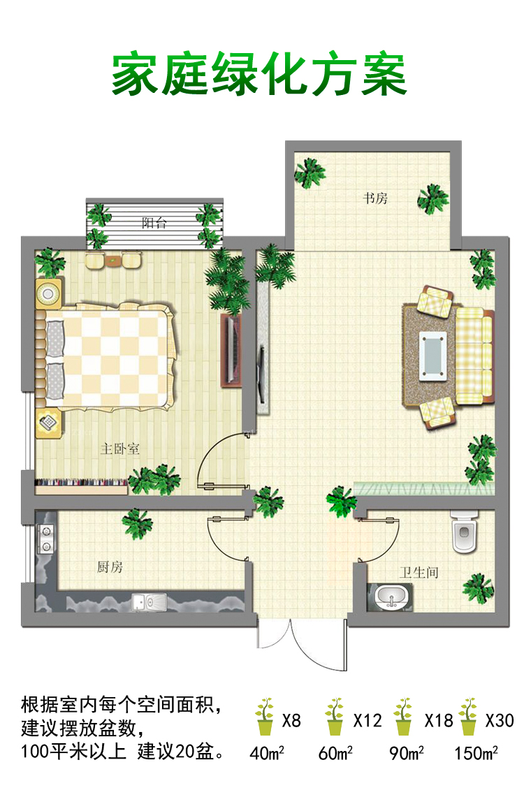 富贵蕨盆景室内绿植花卉办公室桌面好养易活绿色四季蕨类植物盆栽悬秋