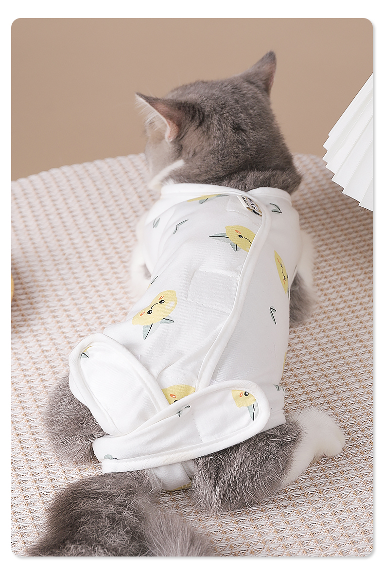 绝育服母猫手术服猫咪术后服公猫防舔断奶猫猫宠物衣服手术衣防掉毛防