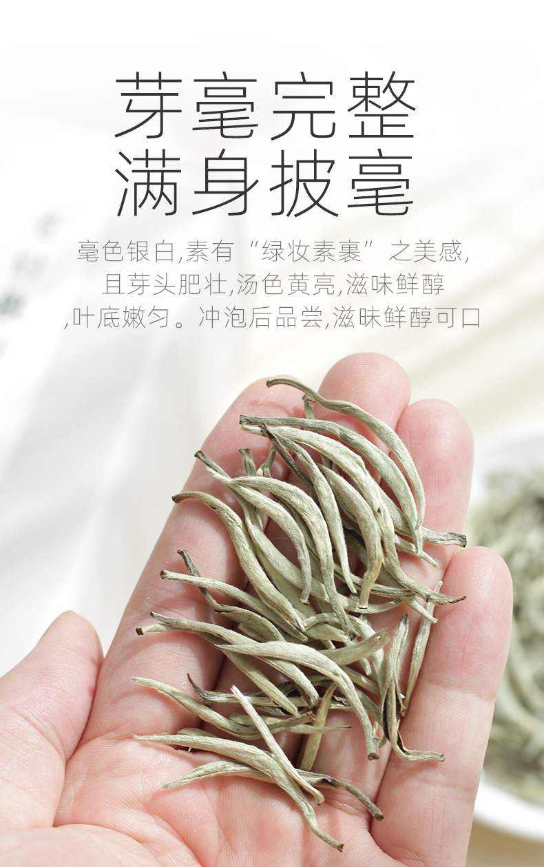 云南白茶2021春茶明前茶特级大叶种白芽白毫银针鲜茶叶100g高品质100g