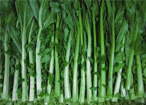 正宗临川菜梗 芥菜梗 江西抚州农自制 婆婆菜梗 特辣开胃下饭菜 2斤装