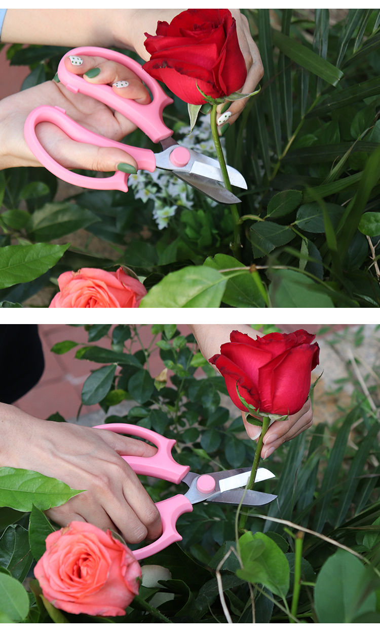园艺花艺专用剪刀插花多功能宽头家用修花剪花店修花修枝剪子好货定制