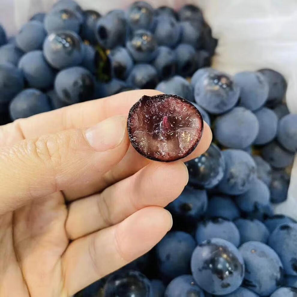 新疆蓝莓葡萄新鲜无籽纯甜口孕妇水果比夏黑甜约4斤 3斤【图片 价格