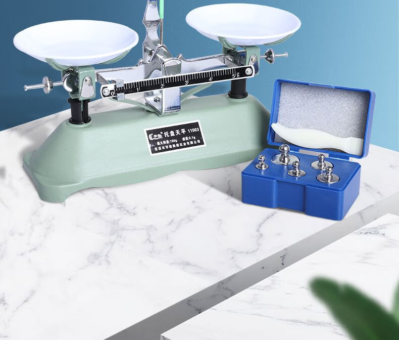 天平秤学生儿童教具 托盘天平秤教具小学生实验物理教学用具一二年级