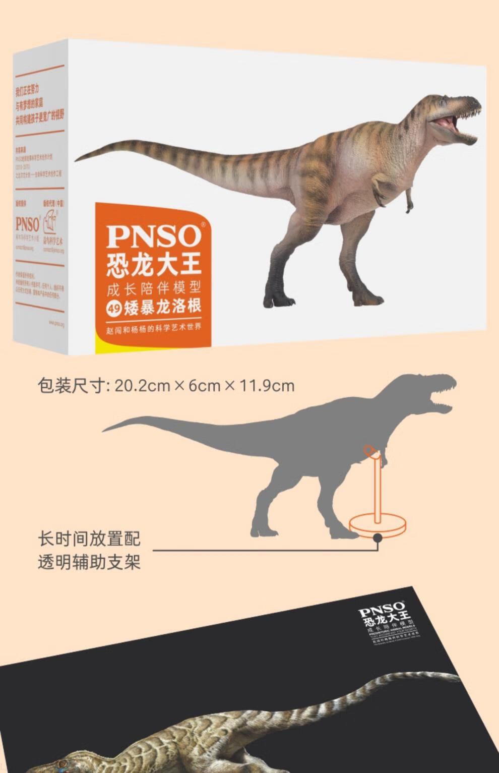 pnso恐龙大王模型pnso恐龙大王成长陪伴模型49矮暴龙洛根日本 龙洛根