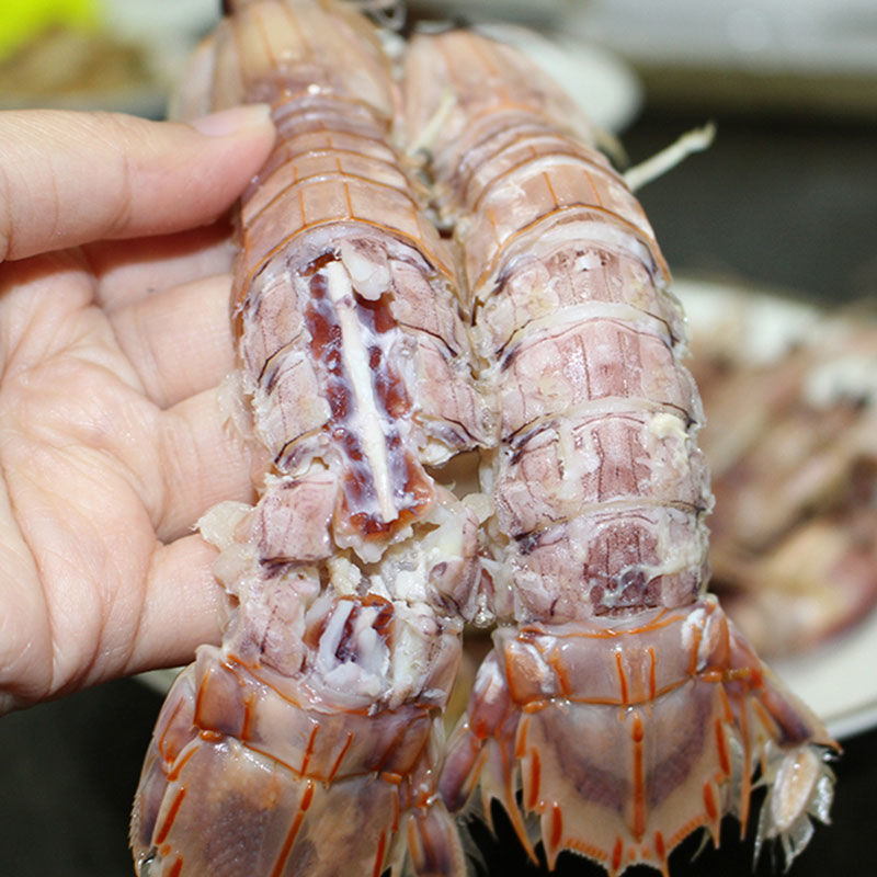 皮皮虾鲜活蒸熟新鲜虾姑大琵琶虾海鲜水产熟冻母皮皮虾虾爬子香津驿站