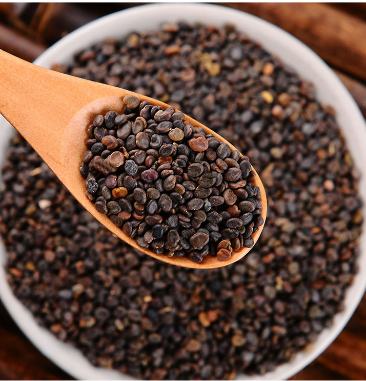 中药材黄芪种子棉黄芪种籽黄芪子 一年生半斤