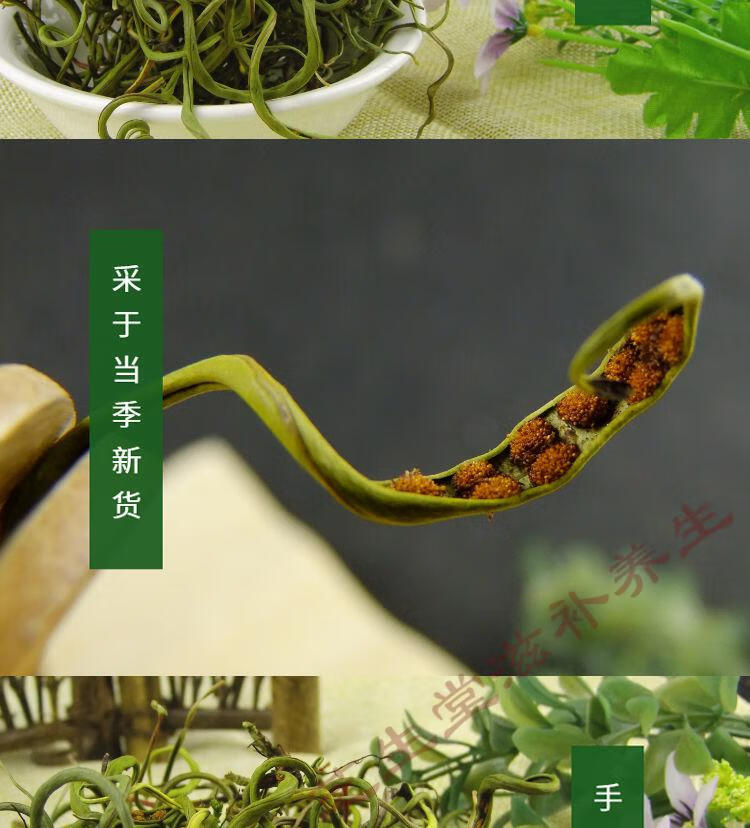 雲南化石草腎精草化石草茶新貨正宗中化石草泡水野生化石草50克