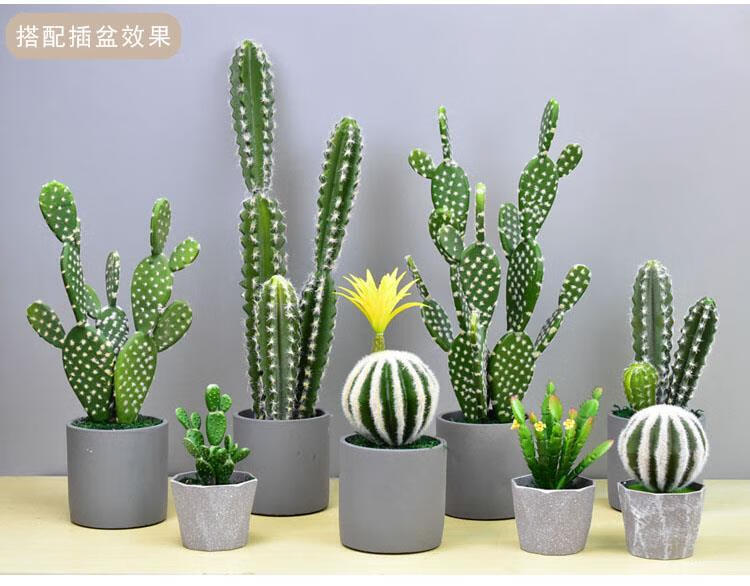 精选现发仿真仙人掌摆件仙人柱球假绿植服装店铺卖场橱窗装饰拍摄道具