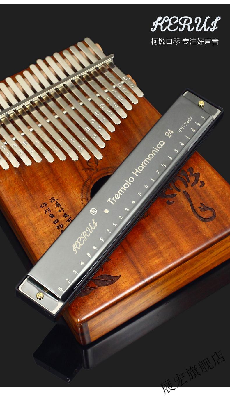 雅马哈口琴雅马哈音效柯锐口琴24孔复音口琴c调初学者学生演奏男基础