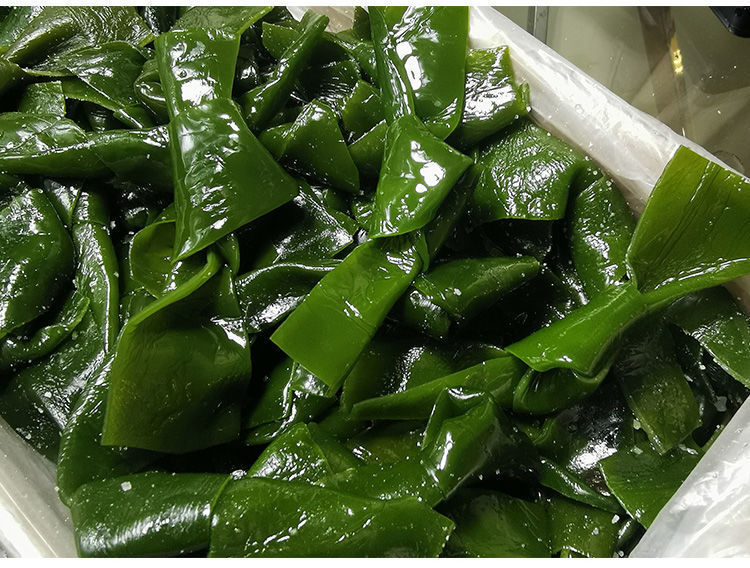 火锅食材海带结盐渍海带扣中结小结净重1/5斤串串香关东煮海带结 关东