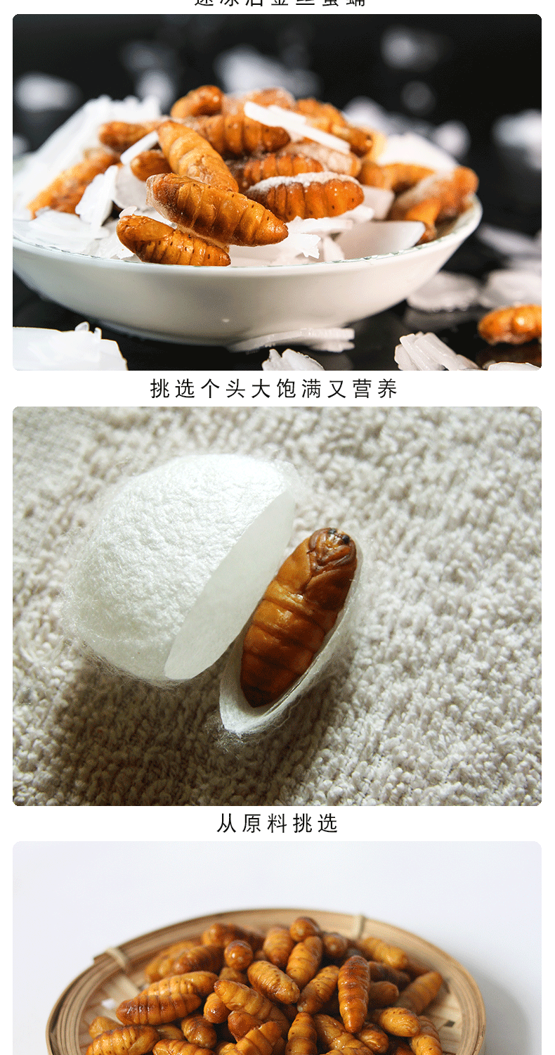 新鲜蚕蛹子干蛹金丝蚕蛹鲜速冻活体冷冻山东特产蝉蛹4斤新鲜