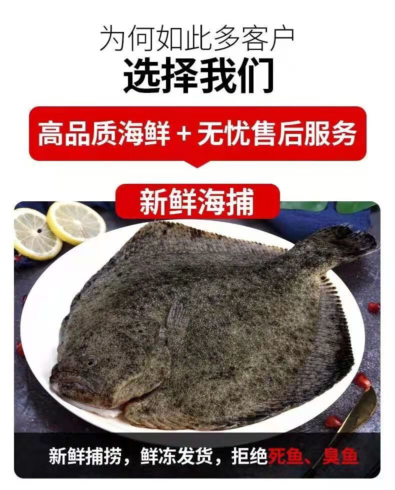 多宝鱼新鲜海捕鲜活冷冻比目鱼鲽鱼大菱鲆鸦片鱼 昌盛隆 4条(400g/条)