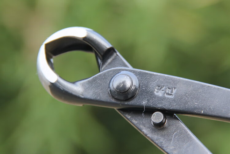 球节剪球形剪树瘤树节修剪钳盆景工具制作养护盆栽工具b12球节剪200mm