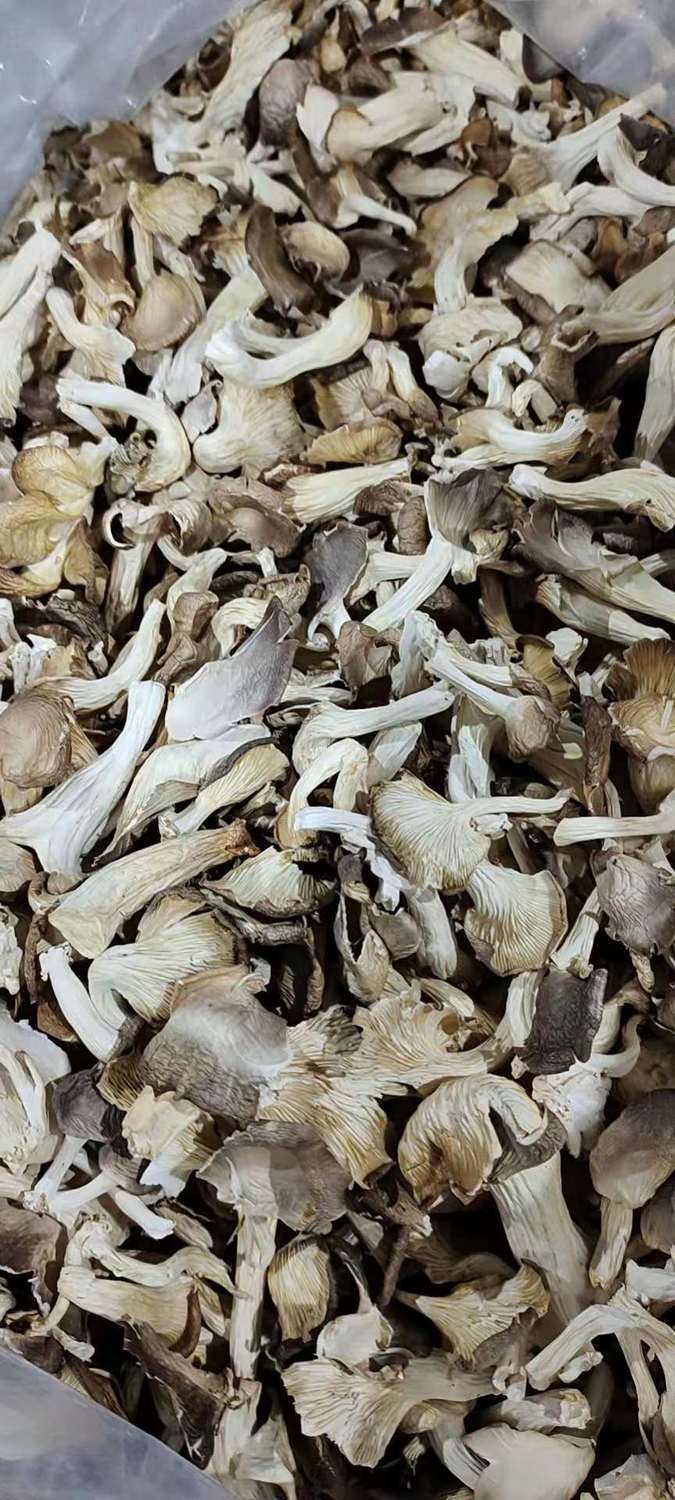 国产新货凤尾菇秀珍菇菇菌 真姬菇 干货天然袖珍菇250g/500g农产品