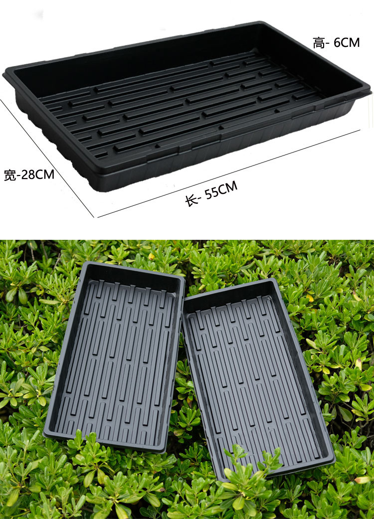 恒日晟芽苗菜多肉加厚穴盘育苗盘托盘框整理框长方形花苗10张125g每张