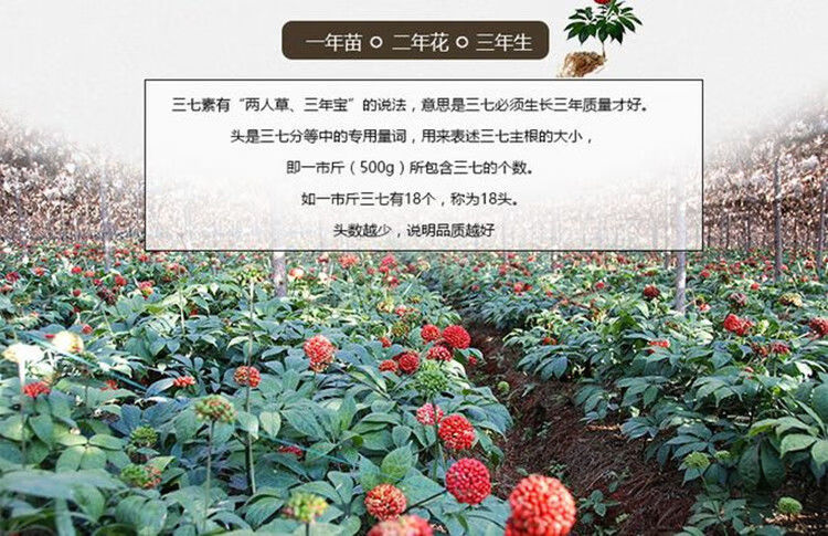 5185f6b3c66853b7.jpg