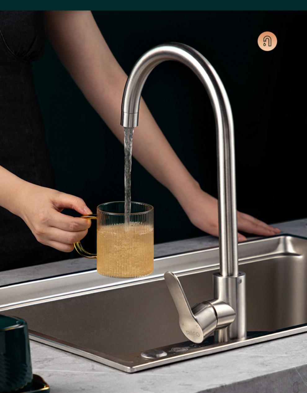 日丰冷热水龙头日丰厨房水龙头冷热家用不锈钢水槽洗菜池抽拉式龙头洗