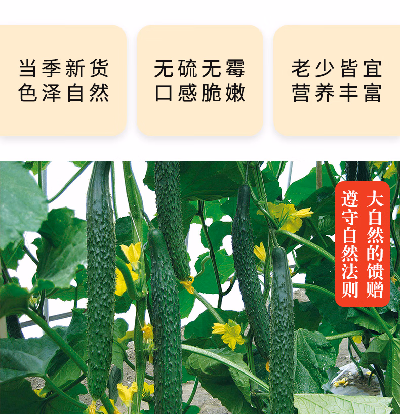 4bd3e153b517869b.jpg.avif
