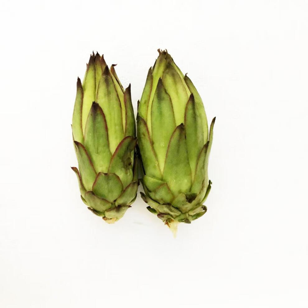 霸王花新鲜蔬菜火龙果花剑花酒店特色蔬菜花苞菜煲汤食材2000克