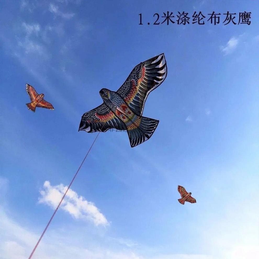 专业盘鹰风筝风筝大人泛用网红盘鹰特大高质量大初学者中国风抗大风