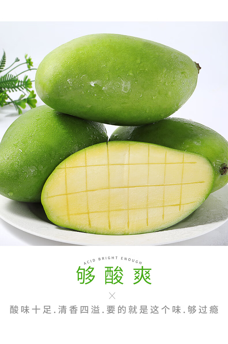 生芒果新鲜酸芒果9斤水果青芒果生吃酸脆3斤酸脆生芒果