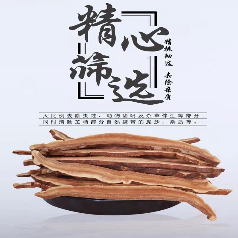 芽斛芝 官方防伪认证大支切片芽斛芝可搭配矴花参 50-100克 甄选大片